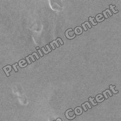 Seamless Textures of Ground + Normal & Bump Mapping